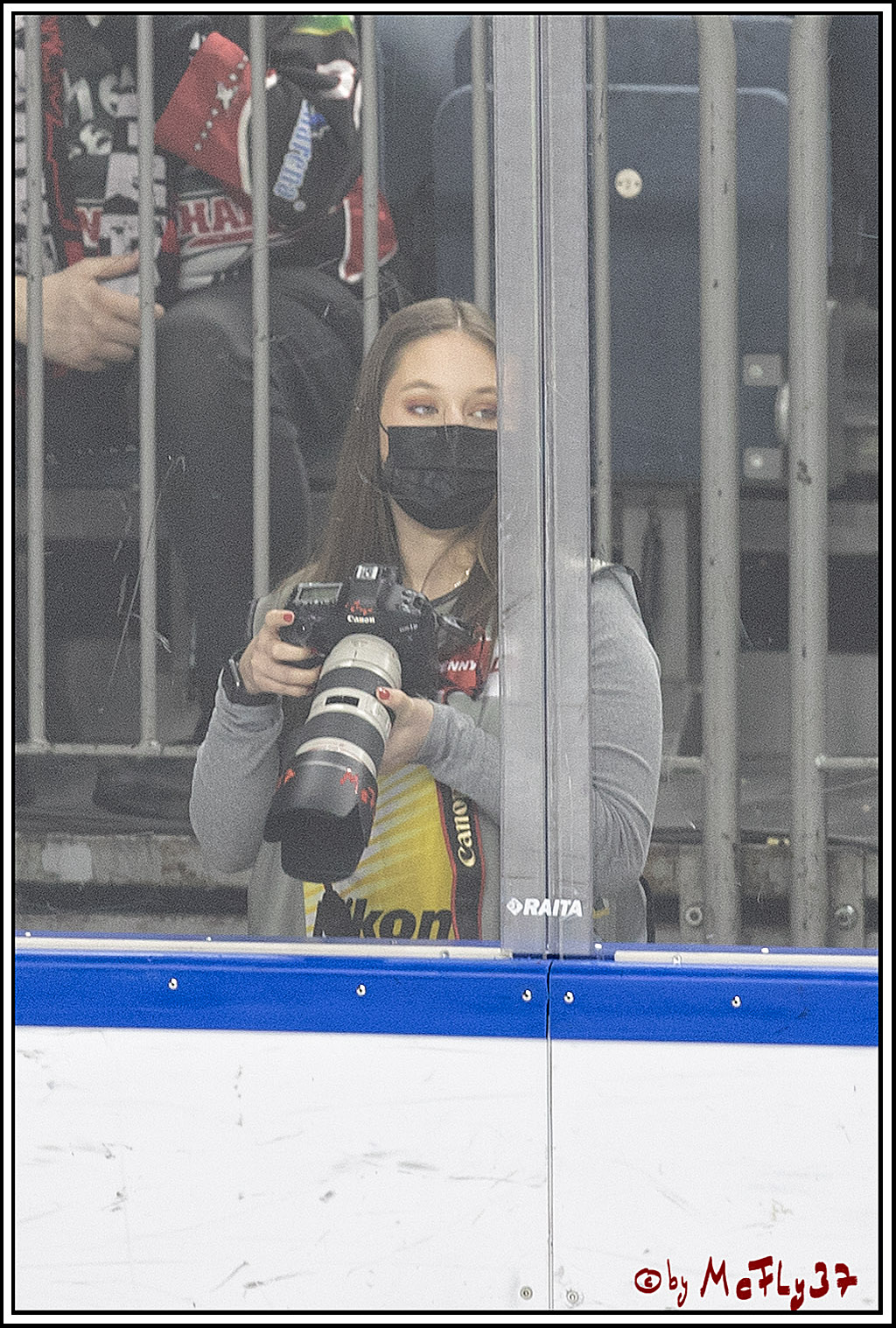 PENNY DEL;  Koelner Haie - Krefeld Pinguine; Koeln, 31.10.2021